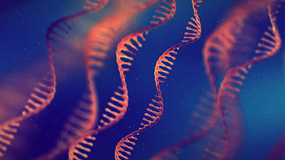 The Hidden Universe Secretly Shaping Our Lives: Noncoding RNA