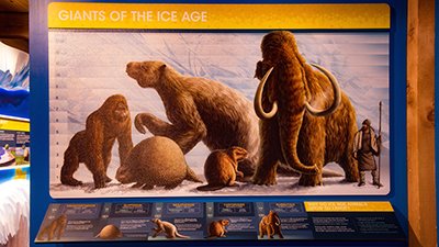 Why Were Ice Age Animals So Big?