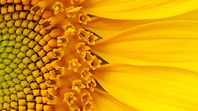 How Does a Math Formula Highlight the Creator?