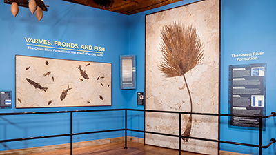 The Ark Encounter’s Flood Geology Exhibit Gets Stunning Upgrade