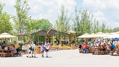 Great Gospel Impact at the Ark Encounter