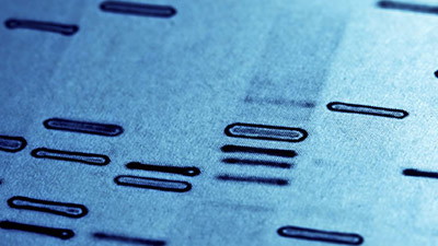 Synthesizing Human DNA: Scientific and Ethical Boundaries