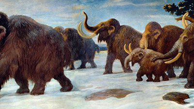 Mystery Mammoth Points to a Global Flood and Ice Age