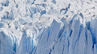 The North Pole