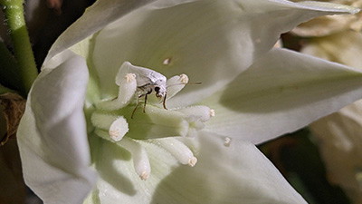 What Is Coevolution?
