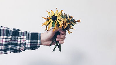 Is the Origin of Flowering Plants a Mystery?