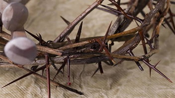 The Sinless, Spotless Lamb of God