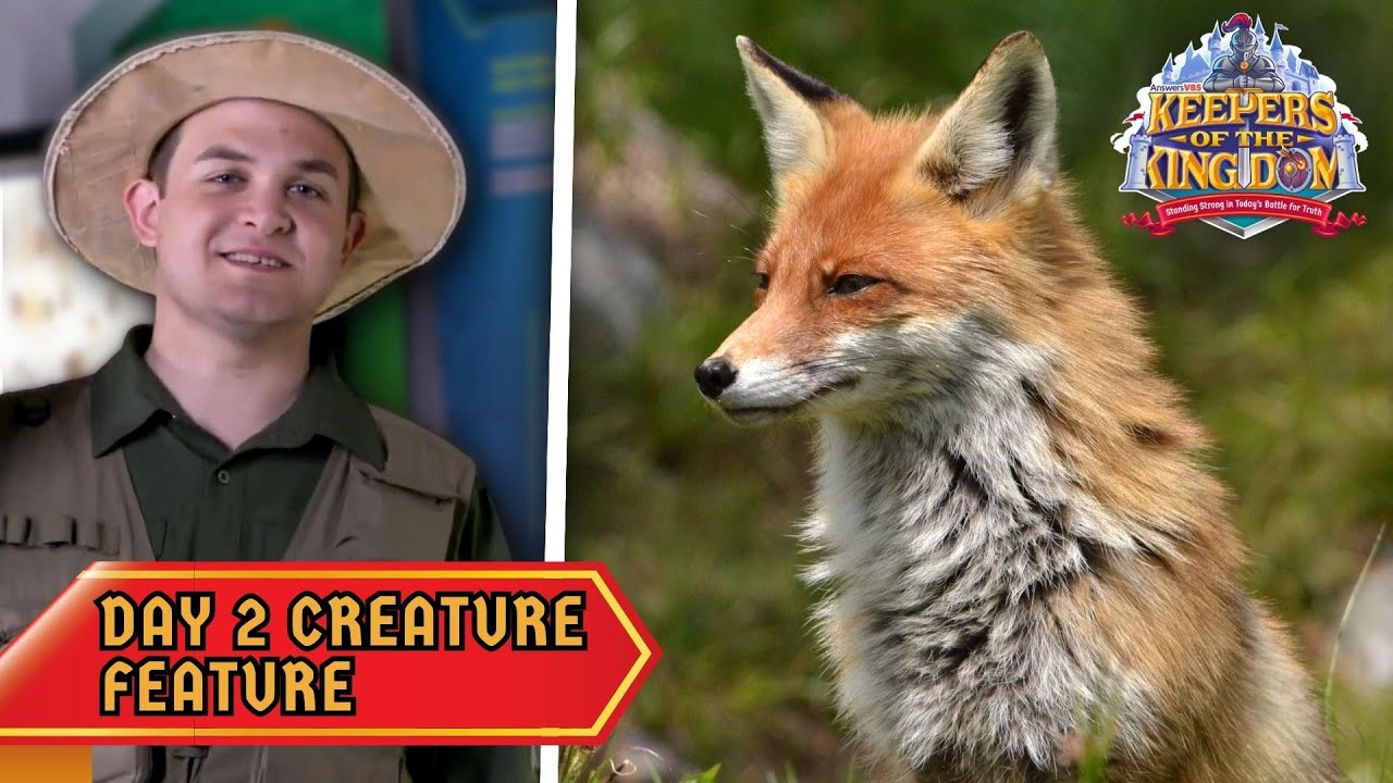 The Crafty Fox! | Keepers of the Kingdom VBS: Day 2 Creature Feature