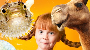 <i>Kids Answers</i> Magazine