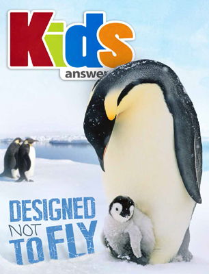 Designed Not to Fly