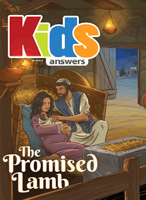 The Promised Lamb