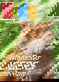 Where Do Ligers Come From?