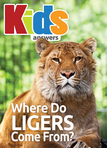 Where Do Ligers Come From?
