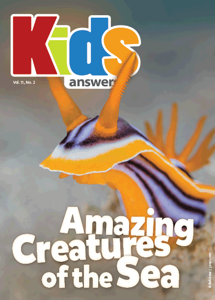 Amazing Creatures of the Sea