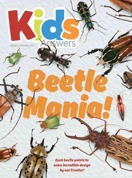 Beetle Mania!