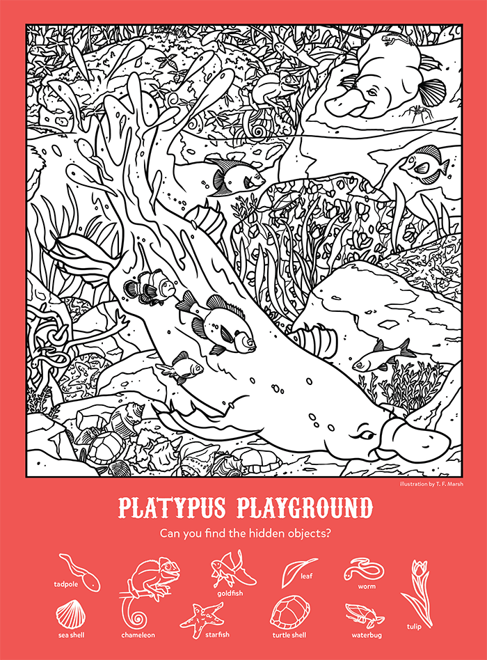 Platypus Playground