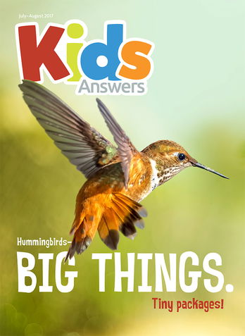 Hummingbirds—Big Things, Tiny Packages