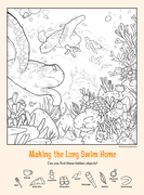 Making the Long Swim Home