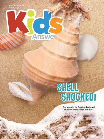 Shell Shocked!