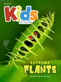Extreme Plants