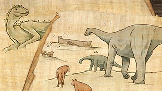 Here Come the Animals!