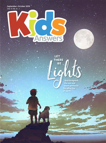 Let There Be Lights