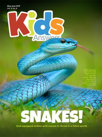 Snakes!