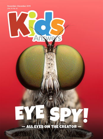 Eye Spy! All Eyes on the Creator