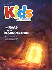 The Road to the Resurrection