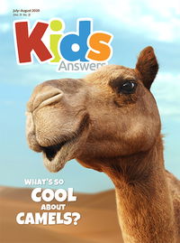 What’s So Cool About Camels?