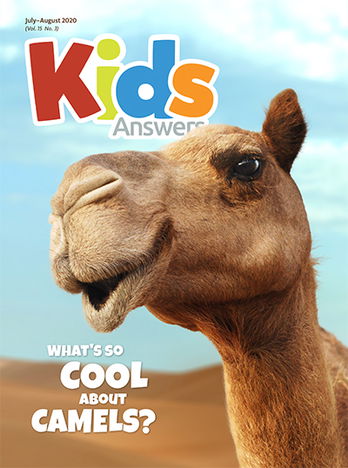 What’s So Cool About Camels?