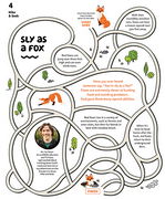 Sly as a Fox