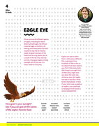 Eagle Eye