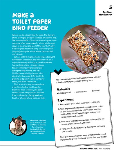 Make a Toilet Paper Bird Feeder