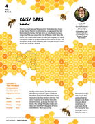 Busy Bees