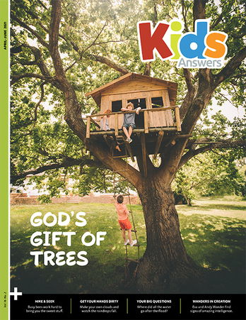 God’s Gift of Trees