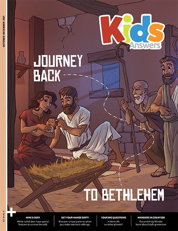 Journey Back to Bethlehem