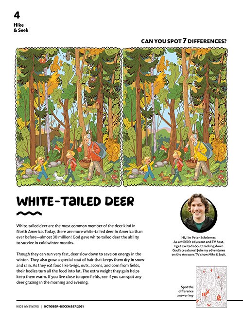 White-Tailed Deer: Spot the 7 Differences