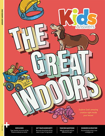 The Great Indoors