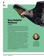 Very Helpful Vultures
