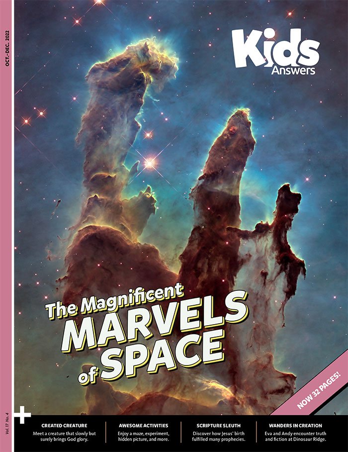 The Magnificent Marvels of Space