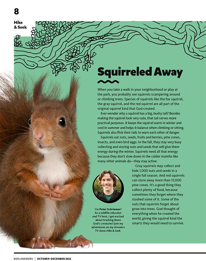 Squirreled Away
