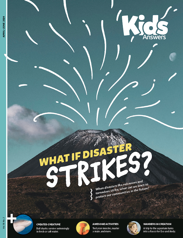 What If Disaster Strikes?
