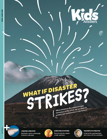 What If Disaster Strikes?