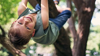 Tree-Markable Benefits