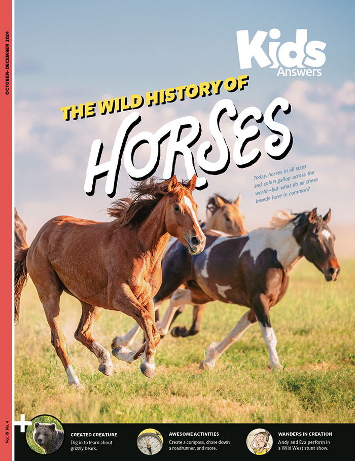 The Wild History of Horses