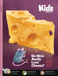 Do Mice Really Love Cheese?