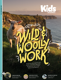 Wild & Woolly Work