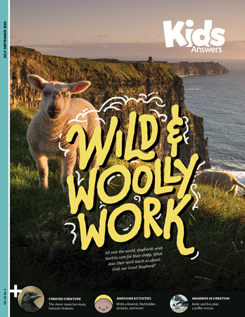 Wild & Woolly Work