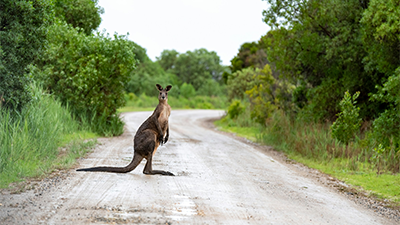 Can You Correctly Answer This Multiple-Choice Question?